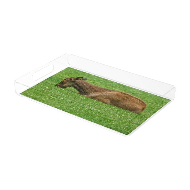 Sleep Little One Acrylic Tray (Angled)
