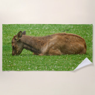 Sleep Little One Beach Towel