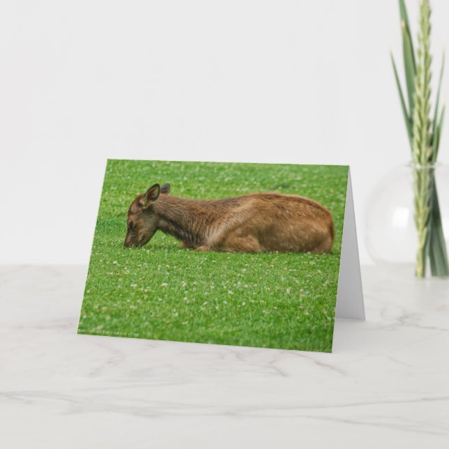 Sleep Little One Card (Front)