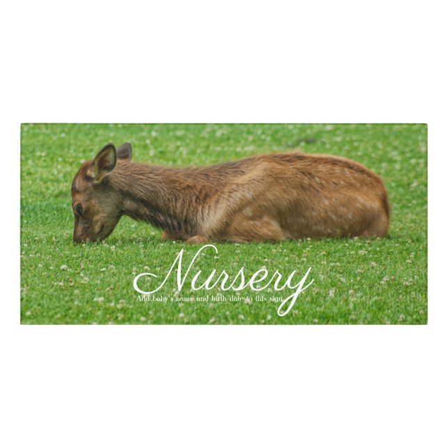 Sleep Little One Door Sign (Classic Front)