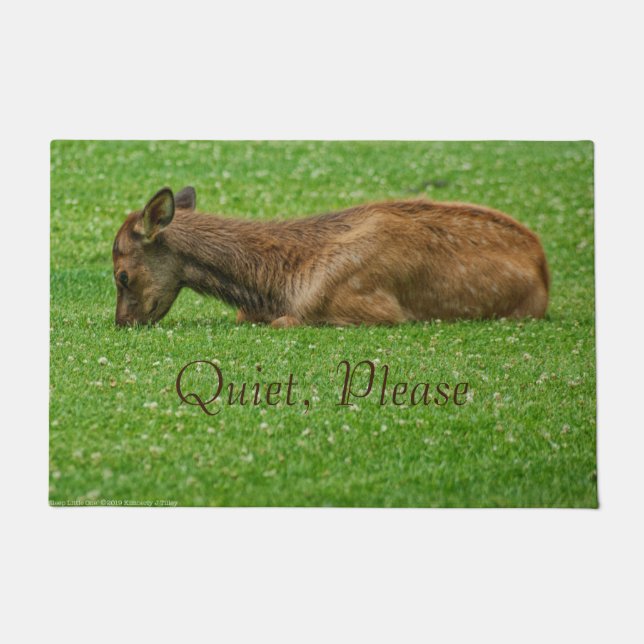 Sleep Little One Doormat (Front)