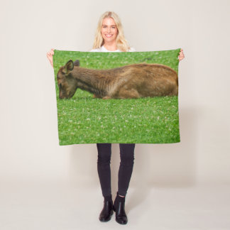 Sleep Little One Fleece Blanket