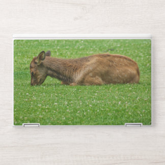 Sleep Little One HP Laptop Skin
