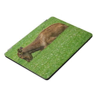Sleep Little One iPad Pro Cover
