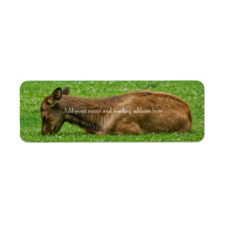 Sleep Little One Label