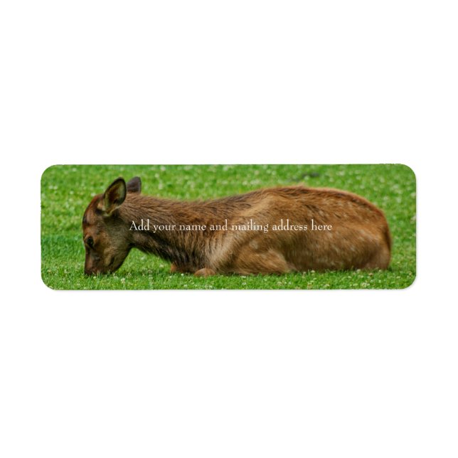 Sleep Little One Label (Front)