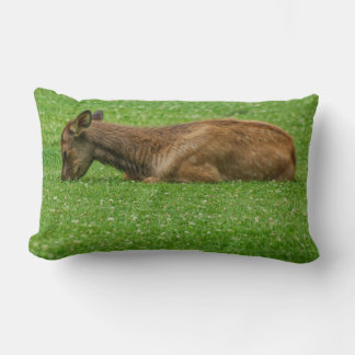 Sleep Little One Lumbar Pillow