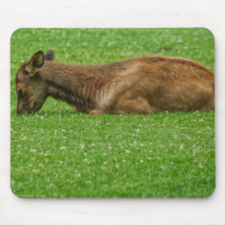 Sleep Little One Mouse Pad