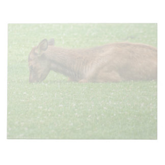 Sleep Little One Notepad