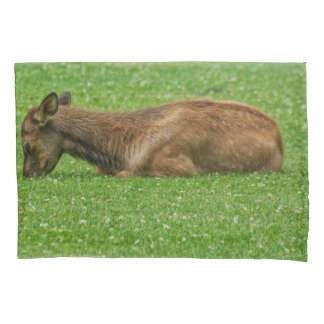 Sleep Little One Pillow Case