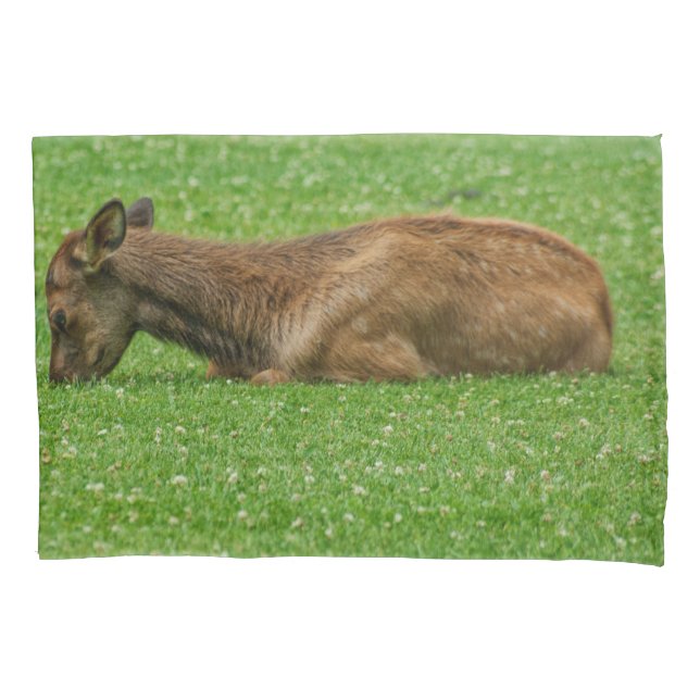 Sleep Little One Pillow Case (Front)