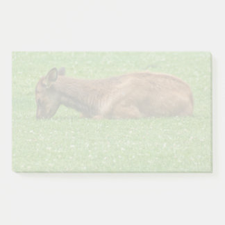 Sleep Little One Post-it Notes