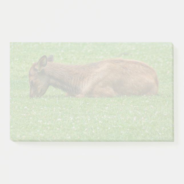 Sleep Little One Post-it Notes (Front)