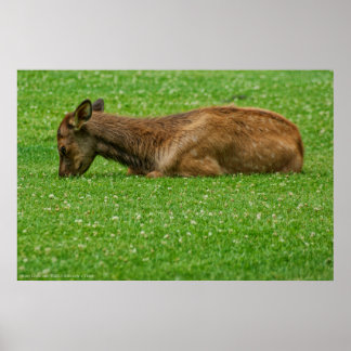 Sleep Little One Poster