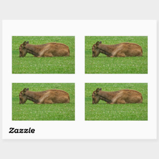 Sleep Little One Rectangular Sticker