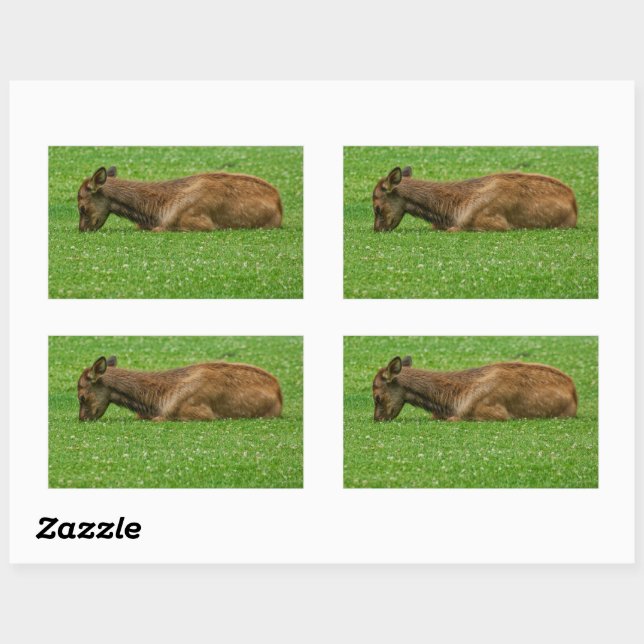 Sleep Little One Rectangular Sticker (Sheet)