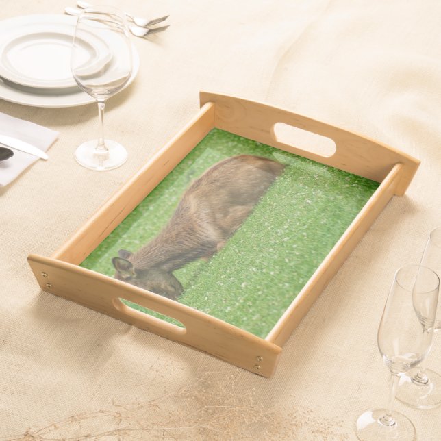 Sleep Little One Serving Tray (Front)