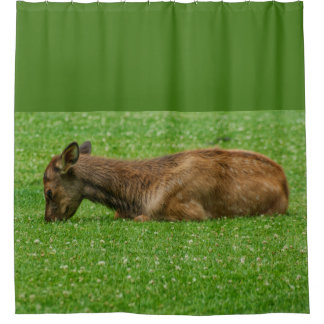 Sleep Little One Shower Curtain