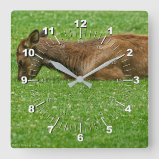 Sleep Little One Square Wall Clock