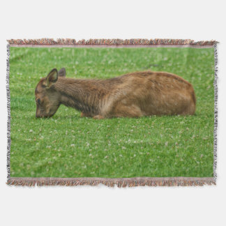 Sleep Little One Throw Blanket