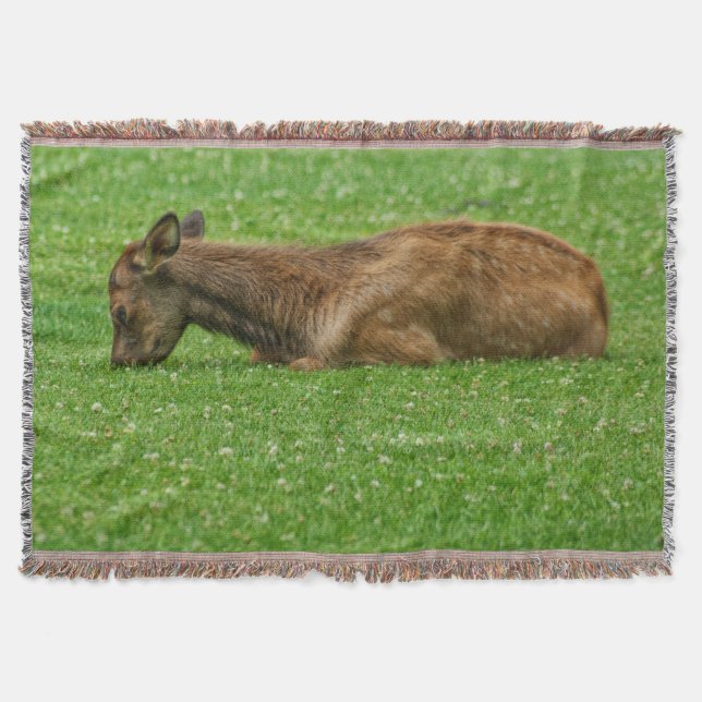 Sleep Little One Throw Blanket (Front)