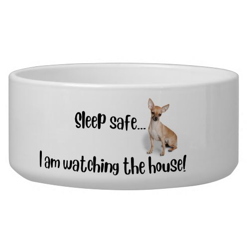 Sleep safeI am watching the house Dog bowl