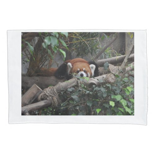 Sleep well Dream well with cute Red Panda Pillow Case