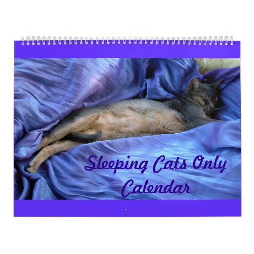 Sleeping Abyssinian Cats Calendar _ Extra Large