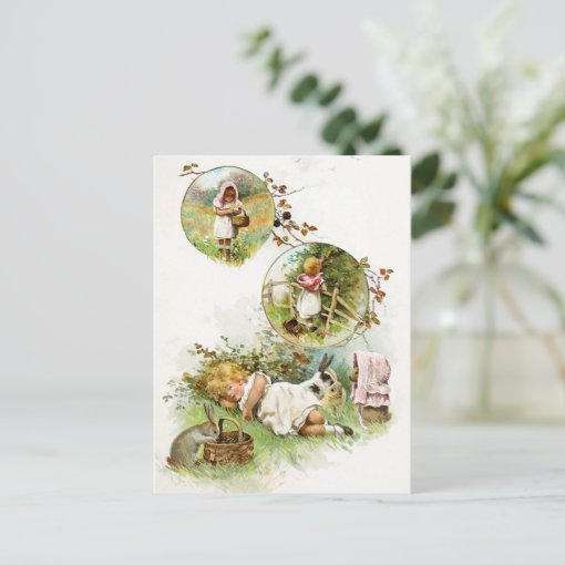 Sleeping and Dreaming of Bunny Rabbits Postcard | Zazzle