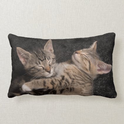 Sleeping baby cats lumbar pillow