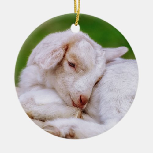 Sleeping Baby Goat Kid Ceramic Ornament