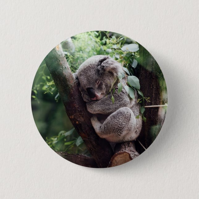 Sleeping Baby Koala Button (Front)