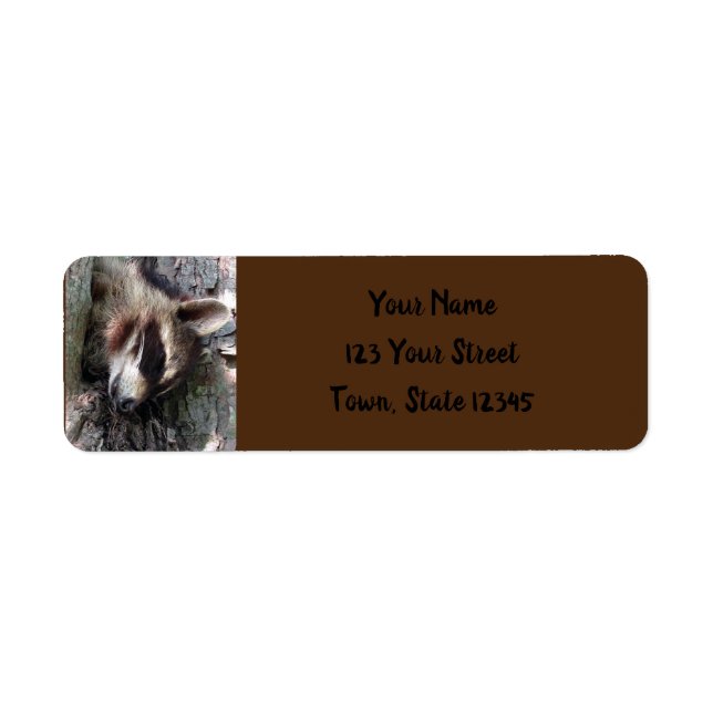 Sleeping Baby Raccoon Return Address Label (Front)