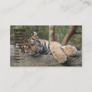 Sleeping Baby Tiger Business Card