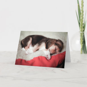 Sleeping Beagle Baby Card