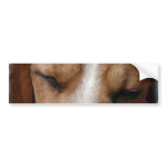 Sleeping Beagle Bumper Sticker