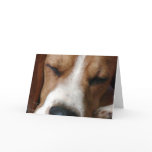 Sleeping Beagle Greeting Card