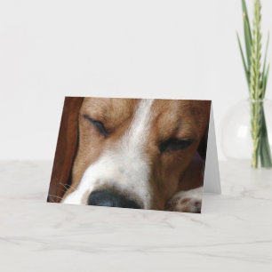 Sleeping Beagle Greeting Card