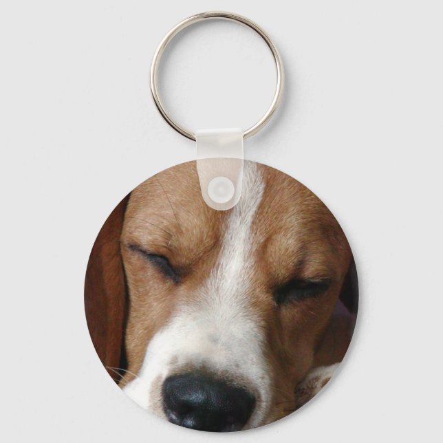 Sleeping Beagle Keychain (Front)