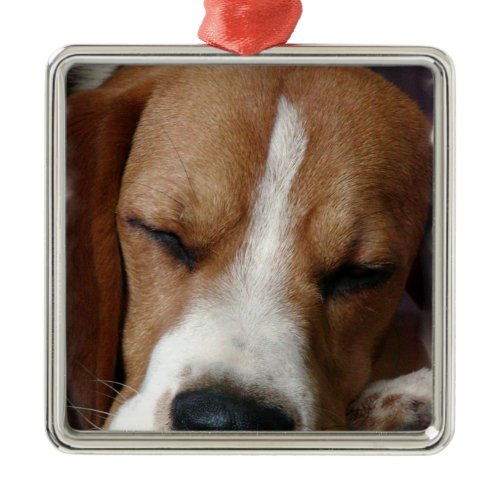 Sleeping Beagle Ornament