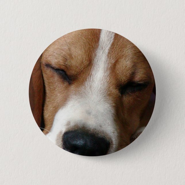 Sleeping Beagle Round Button (Front)