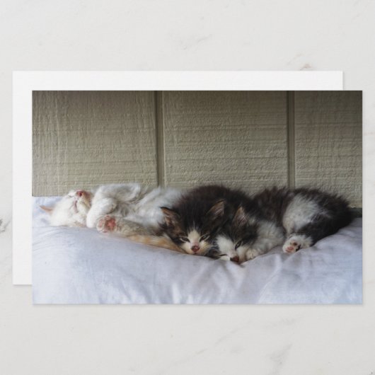 Sleeping Beauties (Front/Back)