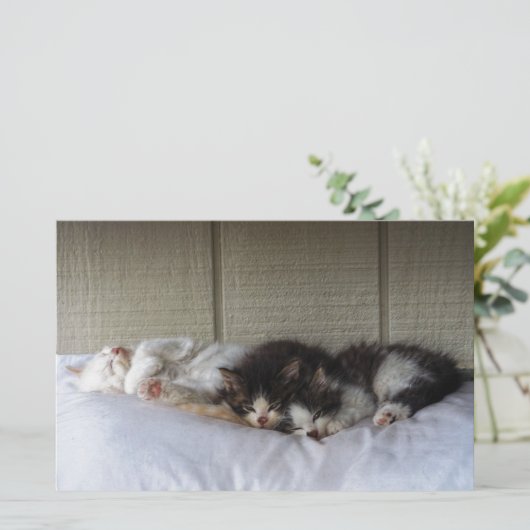 Sleeping Beauties (Standing Front)