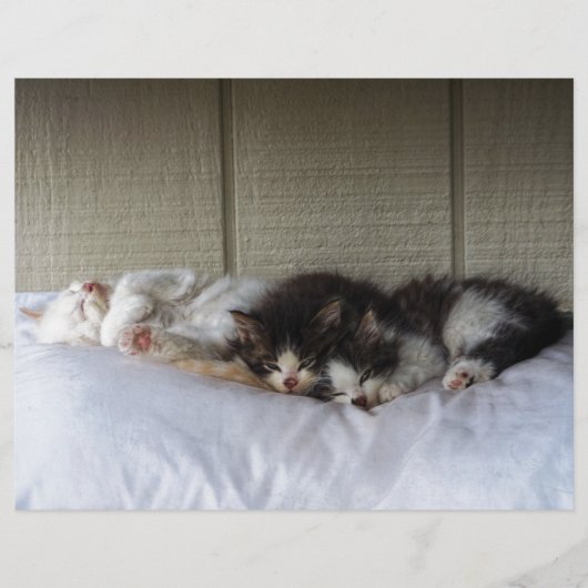 Sleeping Beauties (Front)