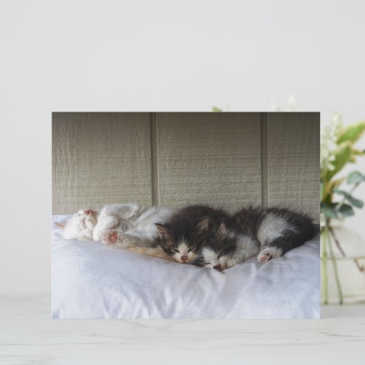 Sleeping Beauties (Standing Front)