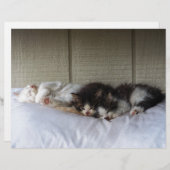 Sleeping Beauties (Front/Back)