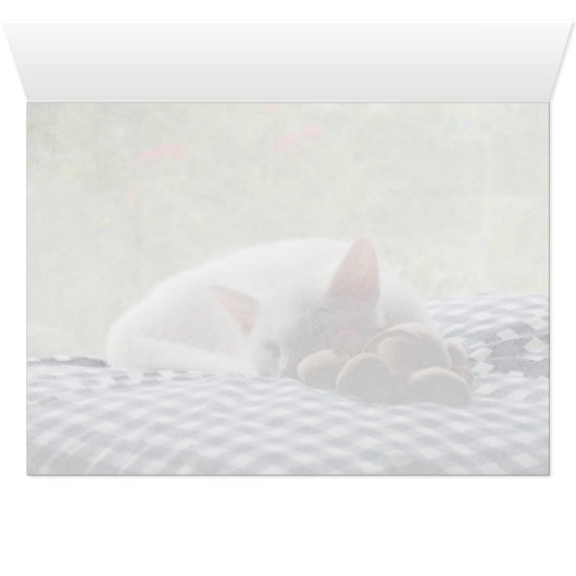 Sleeping Beauty (Inside Horizontal (Bottom))