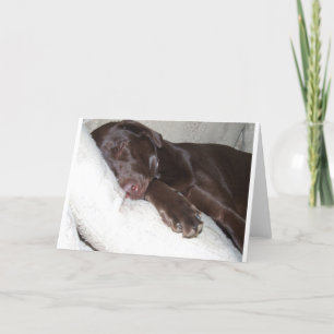 Sleeping Beauty Card