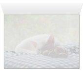 Sleeping Beauty Cards (Inside Horizontal (Bottom))