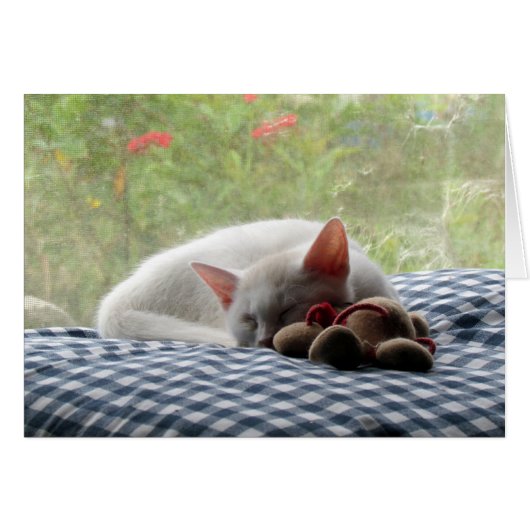 Sleeping Beauty Cards (Front Horizontal)